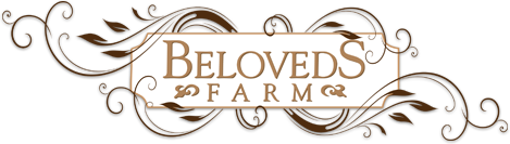 Beloveds Farm Mini's